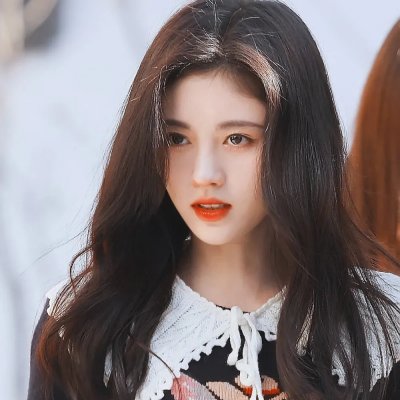 大毛狗